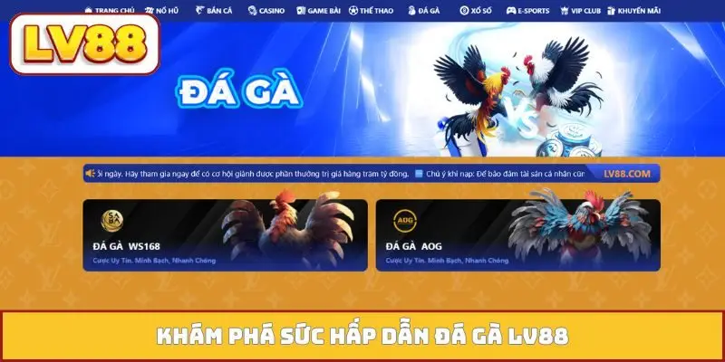 Khám phá sức hấp dẫn đá gà LV88